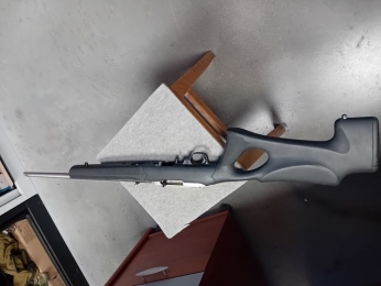 RUGER 10/22 TAKE DOWN 22 LONG RIFLE